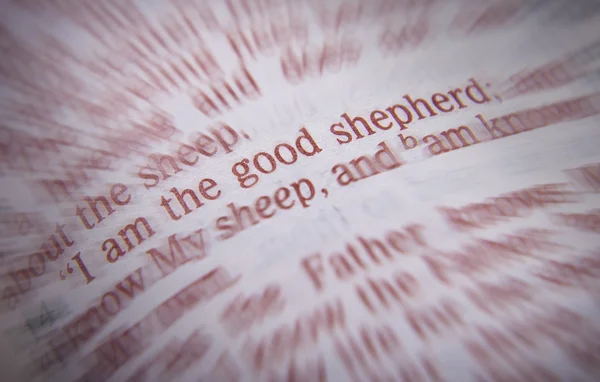 Bible text - I am the good shepherd - John 10:14