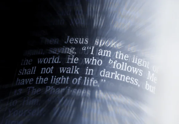 Bible text - I AM THE LIGHT OF THE WORLD - John 8:12