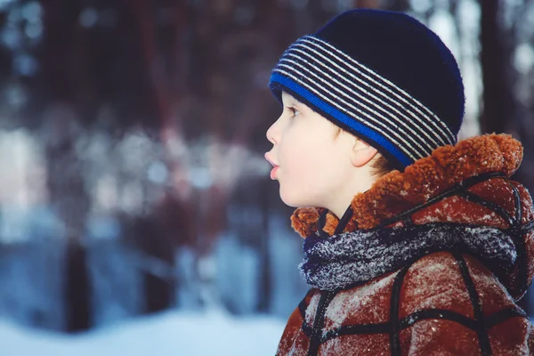 Happy  boy blowing frosty air in the winter forest.