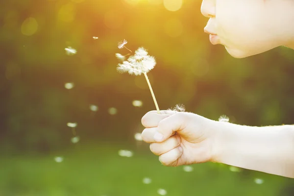 Close-up portrait of child blowing white dandelion. Background t