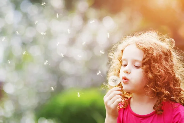 Little curly girl blowing dandelion.