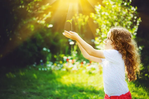 Cute girl holding young green plant in sunlight.