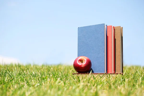 Fresh apple and books on green grass. Back to school