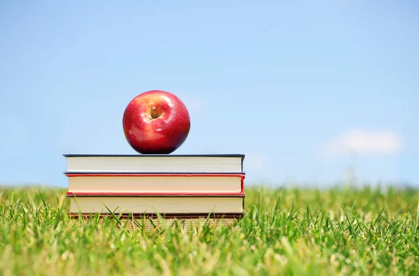 Fresh apple and books on green grass. Back to school