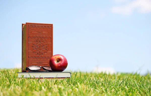 Fresh apple and books on green grass