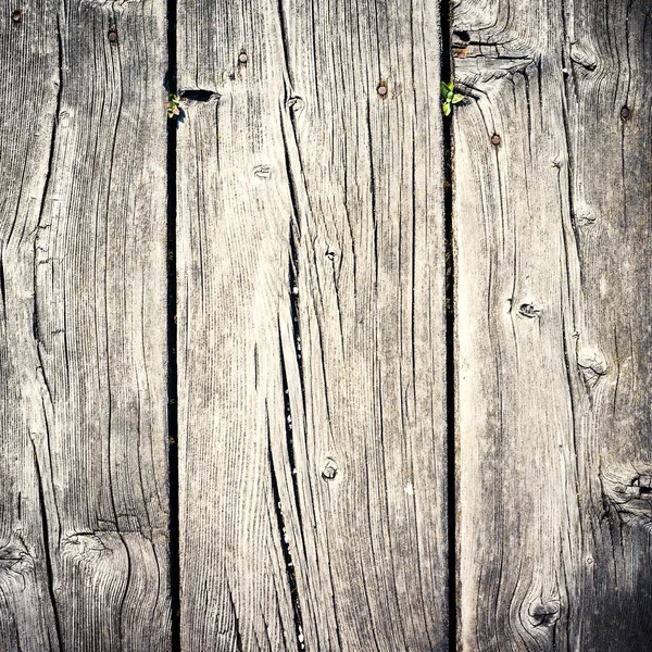 Wood texture background. Filtered image.