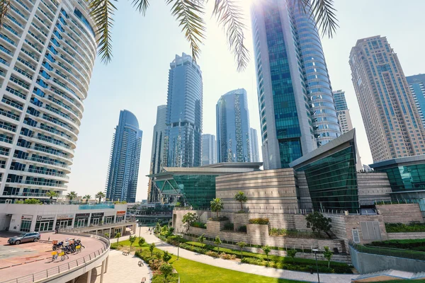 Buildings of Jumeirah Lakes Towers district.