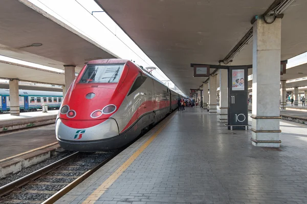 Frecciarossa train inside  SMN Station.