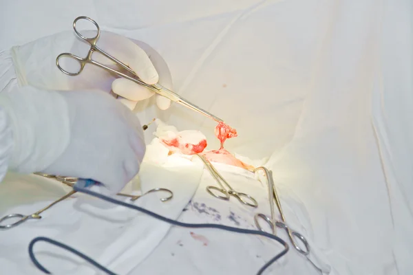 Doctors with tools in hands making surgery