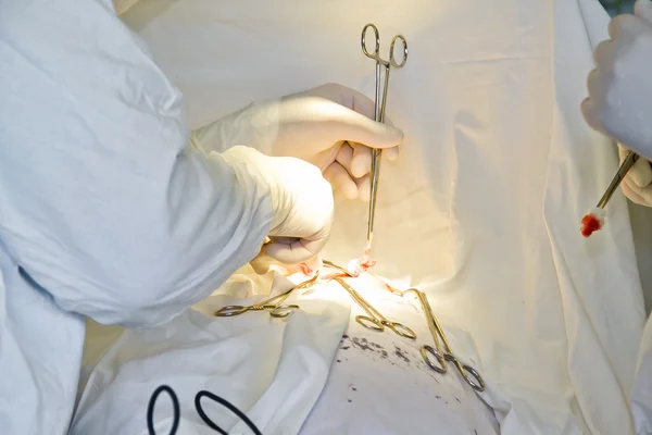 Doctors with tools in hands making surgery