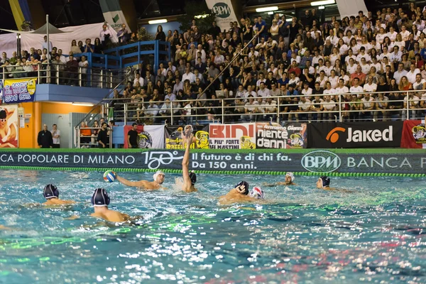 Water Polo Game