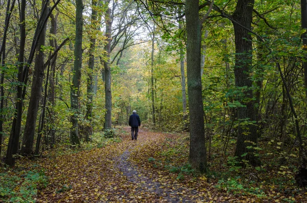 Walking man at a winding footpath at autumn