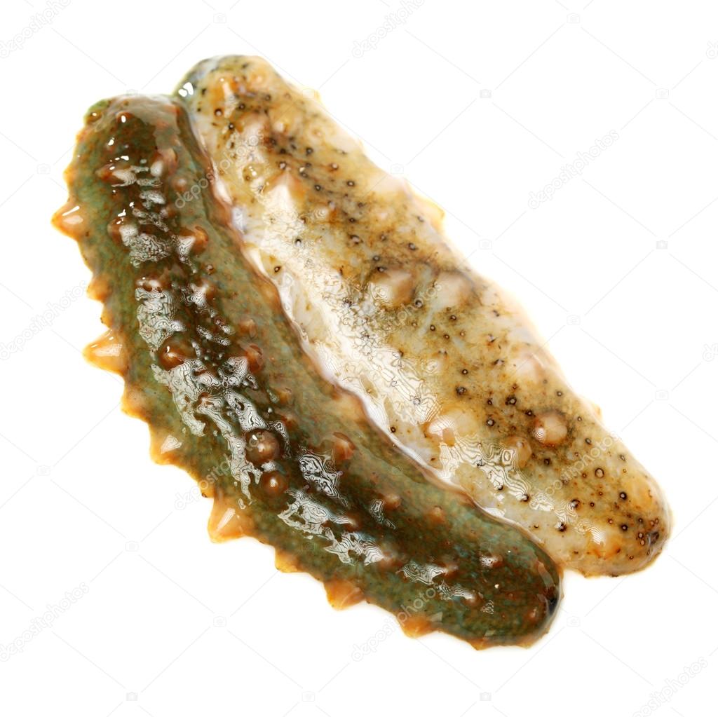 sea cucumber essay Sea cucumber condition and trepang industry sea cucumber condition and trepanned industry in the get a custom essay sample written according to your. sea cucumber essay Sea cucumber condition and trepang industry sea cucumber condition and trepanned industry in the get a custom essay sample written according to your.