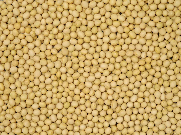 Gold dry soybeans