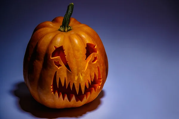 Scary Halloween pumpkin with a shadow on a coloured background