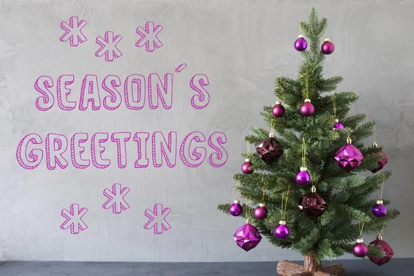 Christmas Tree, Cement Wall, Text Seasons Greetings