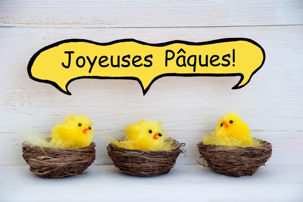 Three Chicks With Comic Speech Balloon French Joyeuses Paques Means Happy Easter