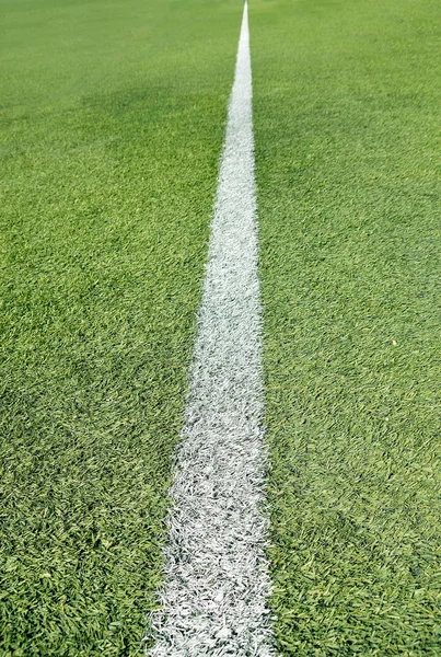 Single line at the stadium