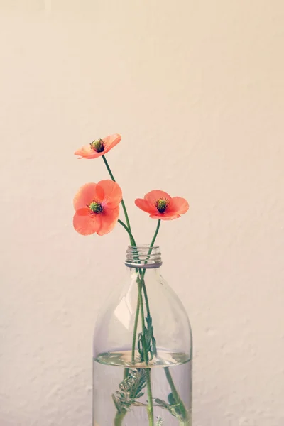 Poppy flowers in a glass milk bottle vase