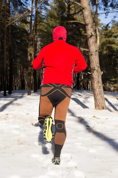 Winter trail running: man takes a run on a snowy mountain path in a pine woods.