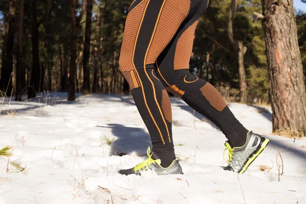 Winter trail running: man takes a run on a snowy mountain path in a pine woods.