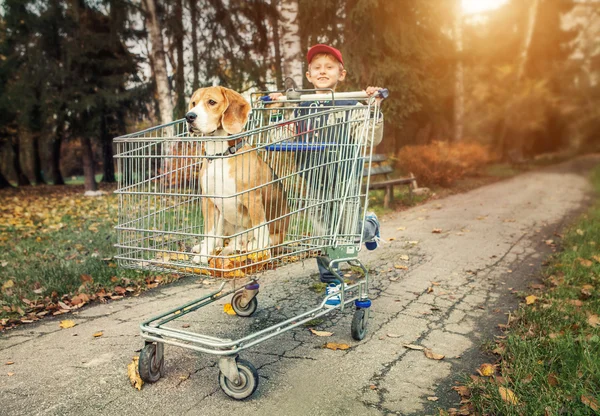 Boy walk with dog in shopping trail