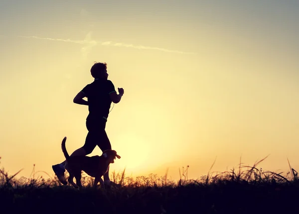 Evening jogging walk with  dog