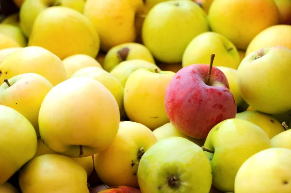 Red apple among group of yellow apples