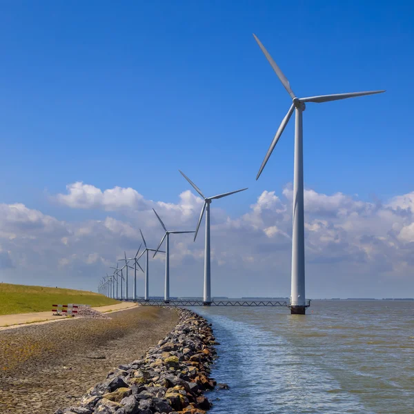 Row of wind turbines along a breakwater