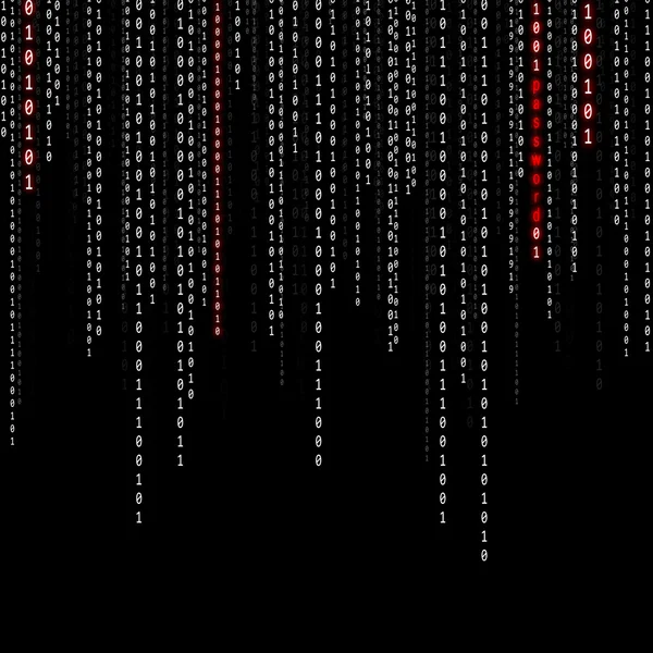 Conceptual matrix binary code with password