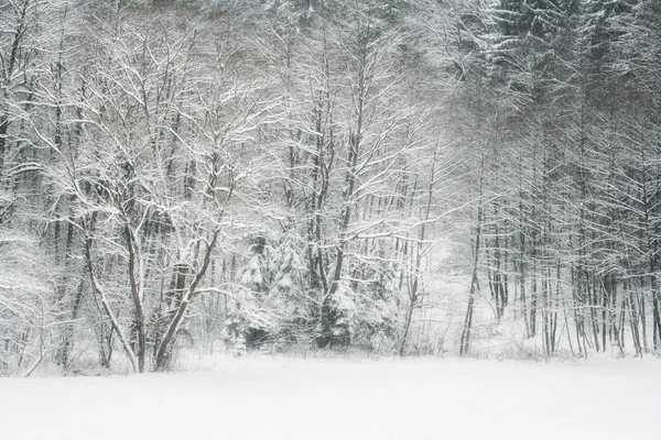 Snowy winter landscape scene
