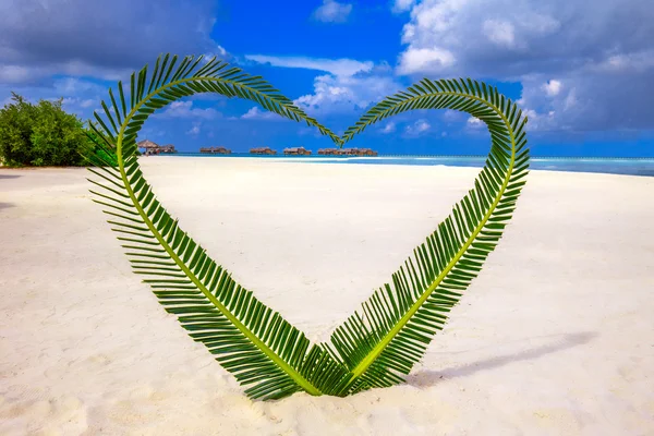Heart made of palm tree leaves