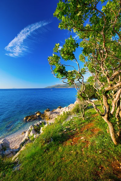 Rocky beach with cristal sea water