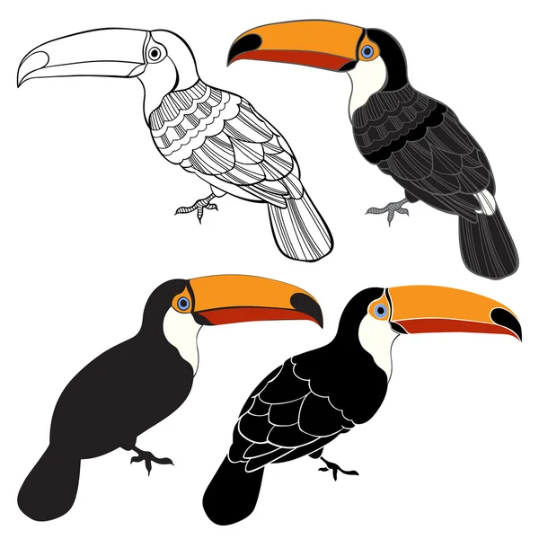 Set of Toucan birds