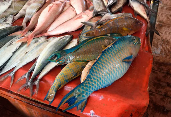 Counter with fish on Tomohon Traditional Market