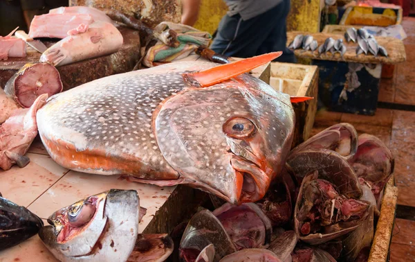 Counter with very big fish on Tomohon Traditional Market
