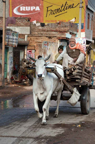 Man and boy on bullock cart at the road