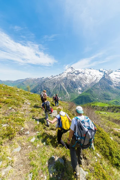 Group of hikers exploring the Alps, outdoor activities in summer