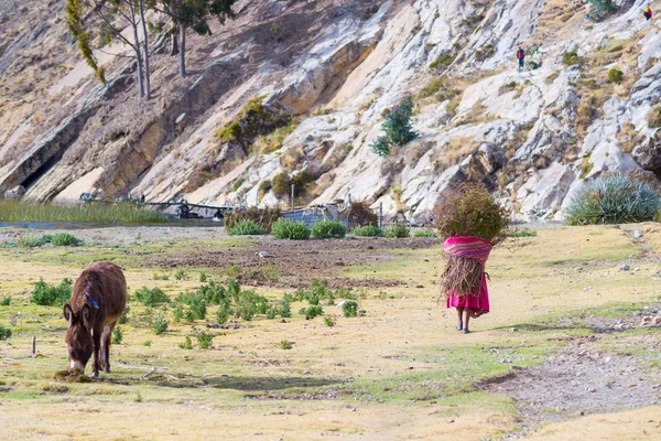 Rural life on Island of the Sun, Titicaca Lake, Bolivia