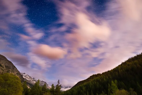 The starry sky with blurred motion clouds and bright moonlight, captured from larch tree woodland. Expansive night landscape in the European Alps.