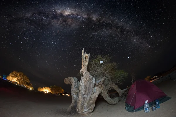 Camping under starry sky and Milky Way arc, with details of its colorful core, outstandingly bright, captured in Southern Africa. Tent and Acacia trunk in the foreground. Adventure into the wild.