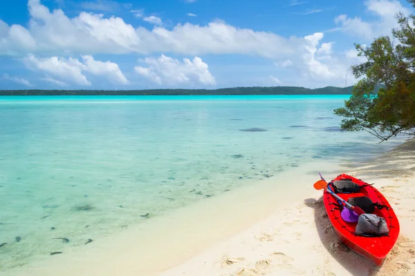 Reaching a desert island by canoeing