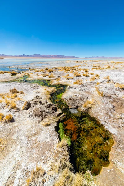 Colorful hot spring on the Andes, Bolivia