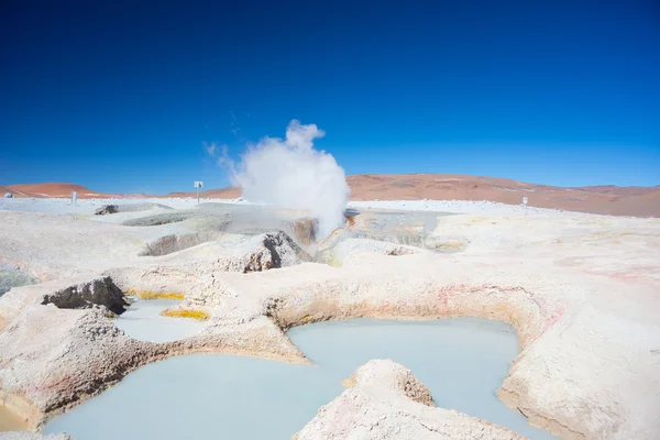 Steaming hot water ponds on the Andes, Bolivia