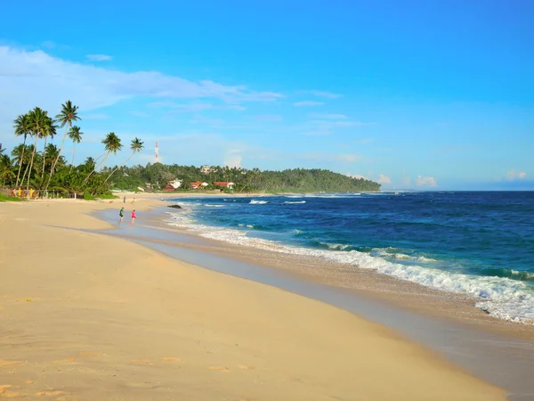 Empty tropical beach with white sand, palm trees and turquoise ocean under blue sky