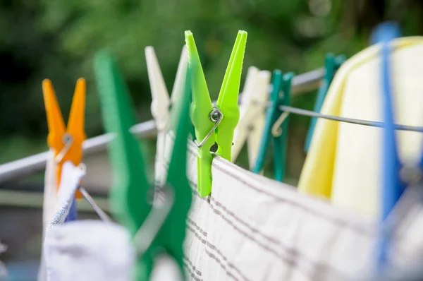 Laundry pins and hanged clothes