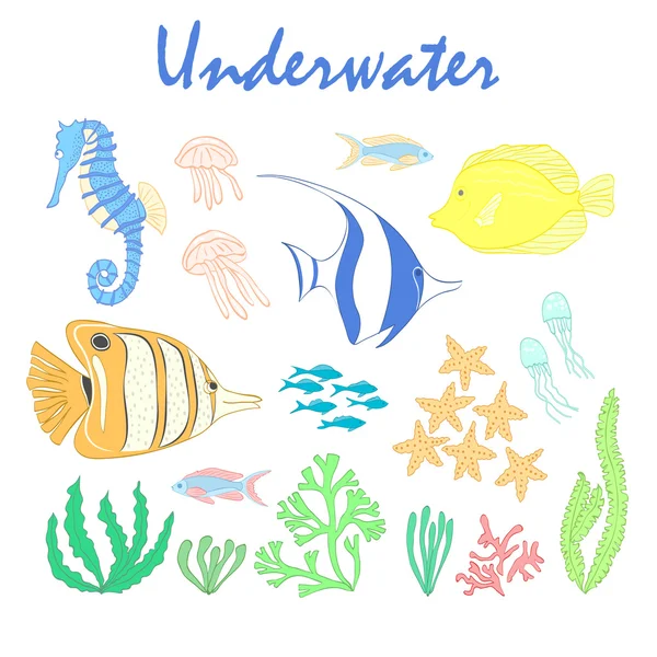 Set of underwater design elements. Sea fish. Vector design elements: sea fishes, corals and seaweeds. Underwater set. Sea life design elements.Set of sea animals. Underwater vector set. Sea fish set.