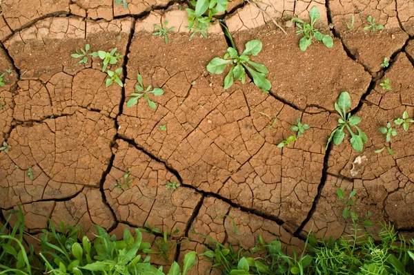 Soil erosion, dry ground
