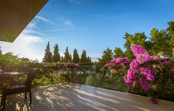 Hotel garden and terrace