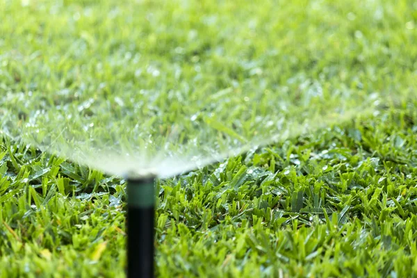 Garden Irrigation system spray watering lawn.